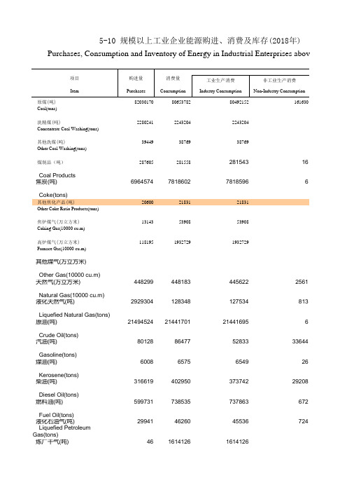 福建省社会经济发展统计年鉴数据：5-10 规模以上工业企业能源购进、消费及库存(2018年)