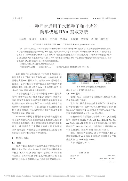 一种同时适用于水稻种子和叶片的简单快速DNA提取方法_闫双勇
