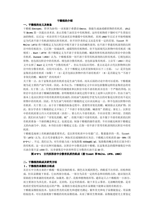 干酪根的介绍