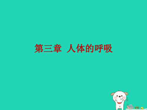 中考生物总复习人体的呼吸课件