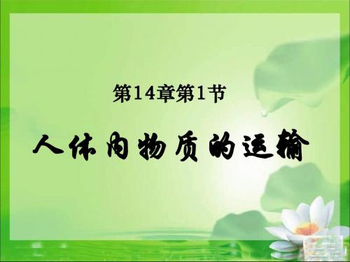 【初中生物】人体内物质的运输ppt18