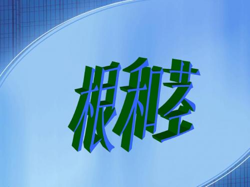 (苏教版)三年级科学下册课件 根和茎 2