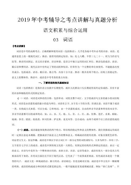 专题03 词语-2019年中考语文辅导之考点讲解与真题分析(解析版)