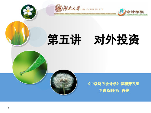 对外投资概述