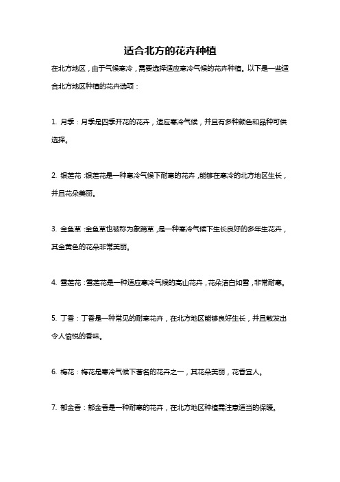 适合北方的花卉种植