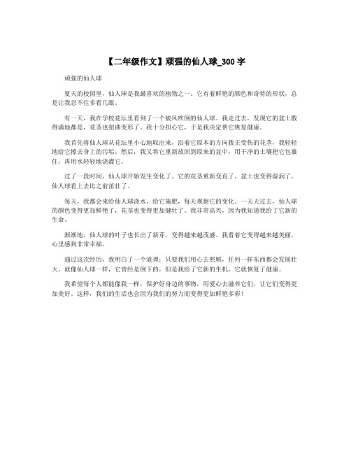 【二年级作文】顽强的仙人球_300字