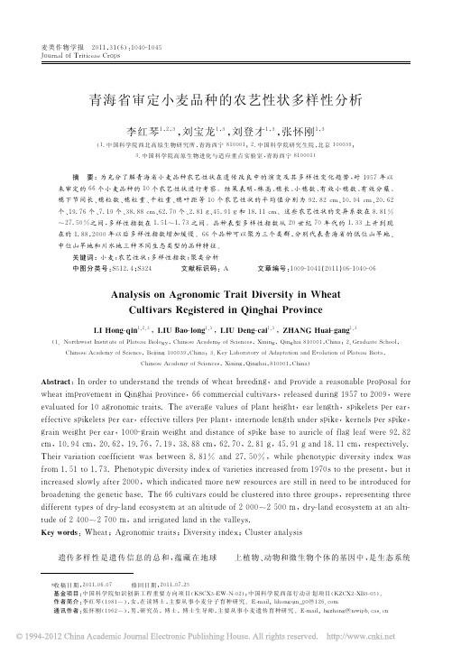 青海省审定小麦品种的农艺性状多样性分析