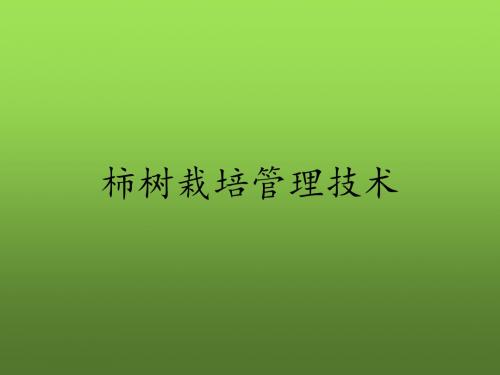 柿树栽培管理技术教材