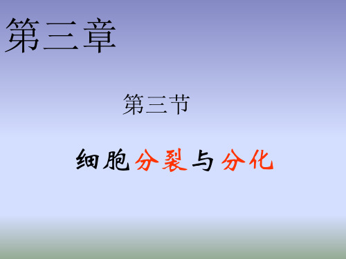 苏教版七年级生物上册3.3《细胞分裂与分化》课件(共37张PPT)