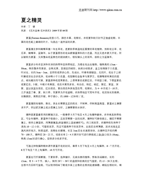 夏之精灵