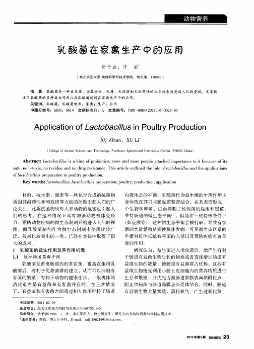 乳酸菌在家禽生产中的应用