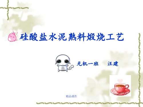水泥熟料煅烧工艺