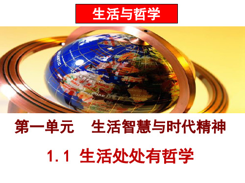 【原创】哲学生活 第一课第一框《生活处处有哲学》文科