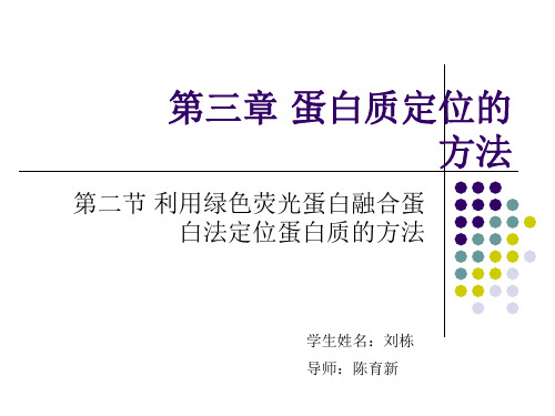 GFP融合蛋白进行蛋白质的亚细胞定位解析