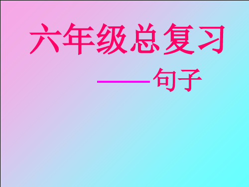 小学语文总复习《句子复习》PPT课件(人教版)