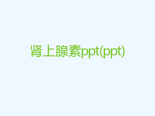 肾上腺素ppt(ppt)