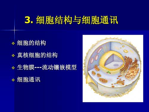 3. 细胞结构与细胞通讯
