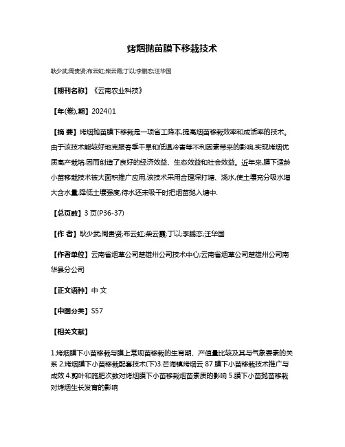 烤烟抛苗膜下移栽技术