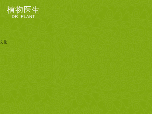 植物医生品牌文化优质文档