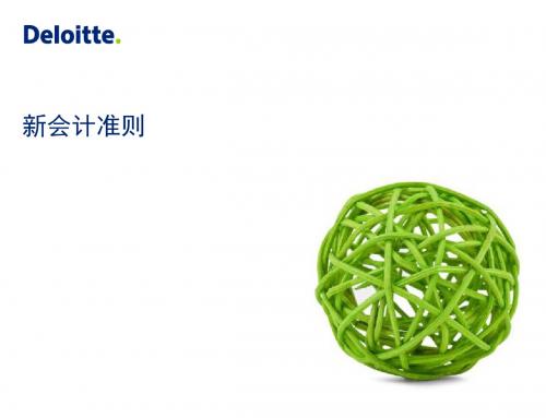 【培训课件】新会计准则-PPT精品文档