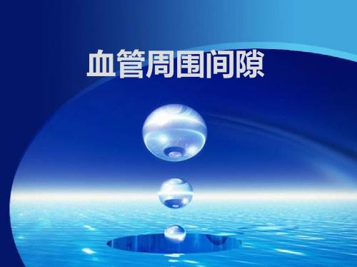 血管周围间隙-PPT文档资料