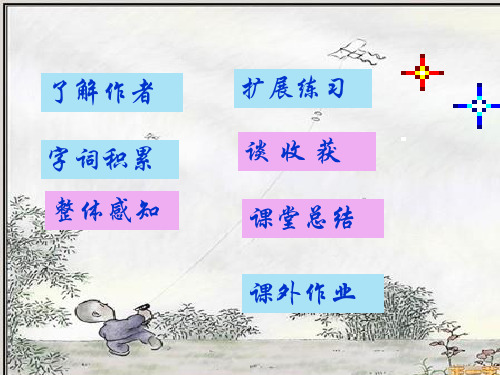 语文版七年级语文上册《风筝》课件(共33张PPT)