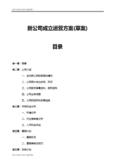 新公司成立运营方案(草案)