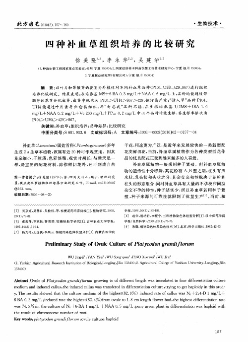 四种补血草组织培养的比较研究