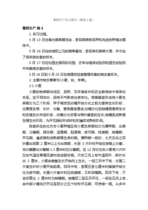 暑假生产实习报告（精选4篇）