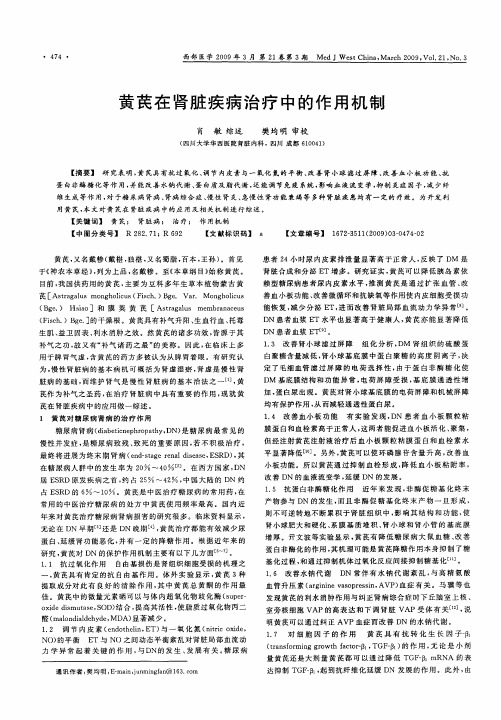 黄芪在肾脏疾病治疗中的作用机制