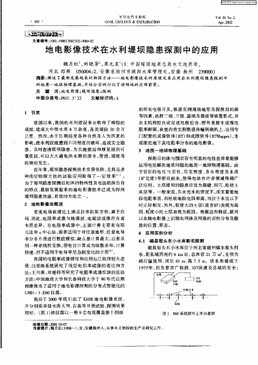 地电影像技术在水利堤坝隐患探测中的应用