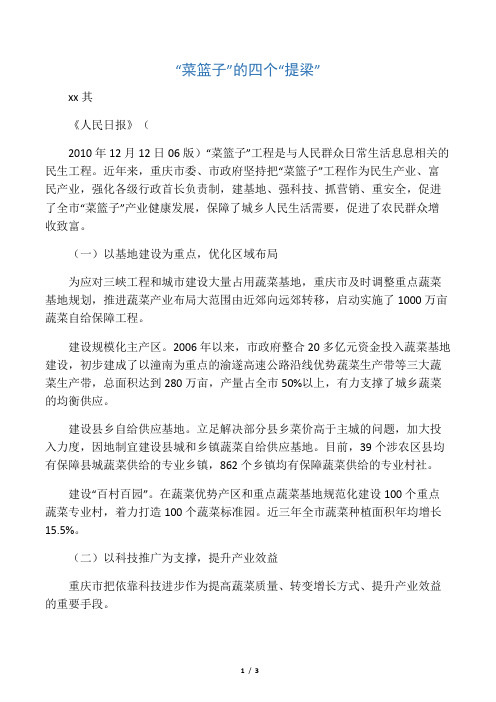4 马其正：“菜篮子”的四个“提梁”