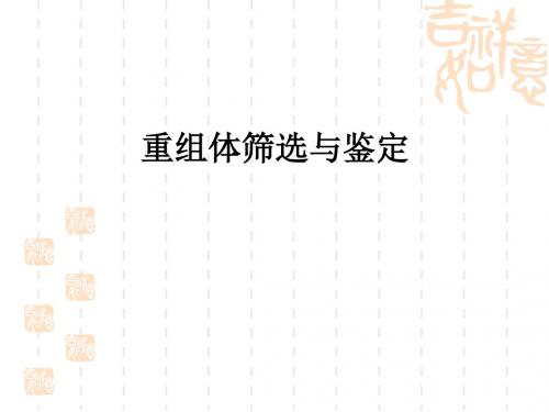 实验17-重组体筛选与鉴定