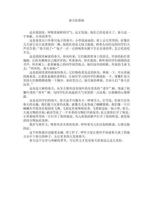 春天狂想曲