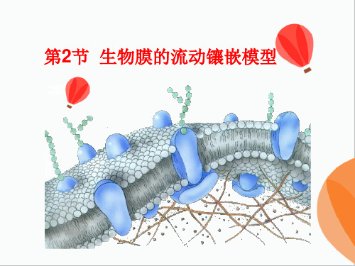 人教生物必修1第4章第2节生物膜的流动镶嵌模型(共24张PPT)