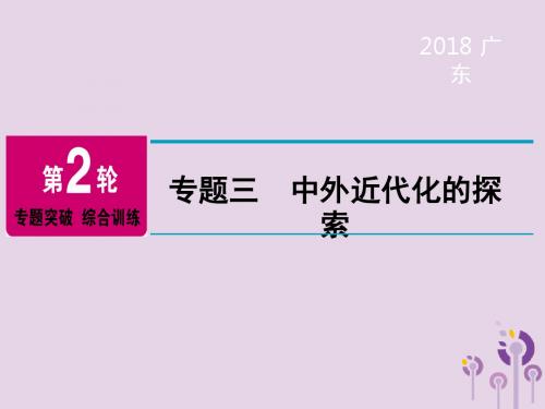 广东省2018年中考历史总复习第2轮专题突破综合训练专题三中外近代化的探索课件