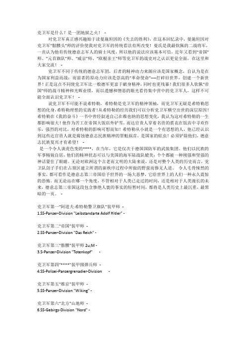 铁和血的浓缩——党卫军