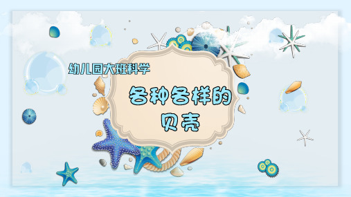 幼儿园大班科学《各种各样的贝壳》