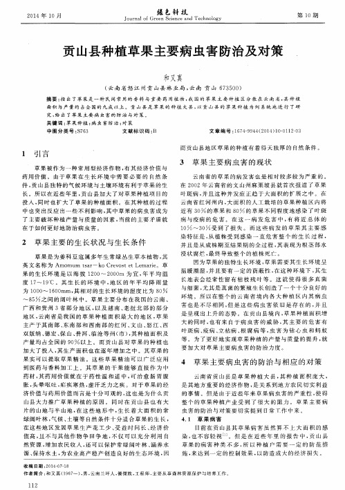 贡山县种植草果主要病虫害防治及对策