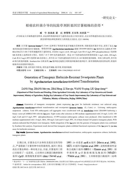 根癌农杆菌介导的抗除草剂转基因甘薯植株的获得