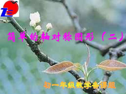 简单的轴对称图形(二)-