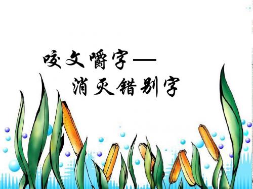 人教版选修课件：第三课 咬文嚼字-消灭错别字(共29张PPT)