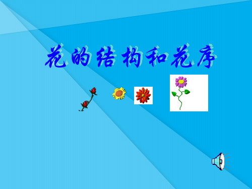花的结构和花序PPT课件 人教版优秀课件