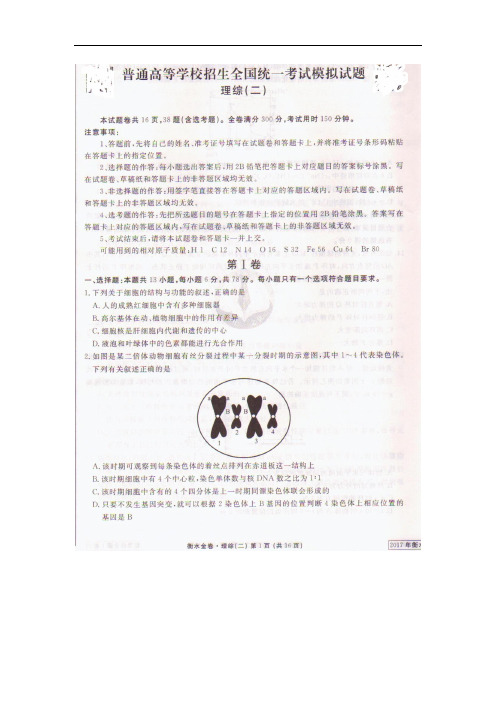2017年普通高等学校招生全国统一考试模拟试卷(二)生物试题