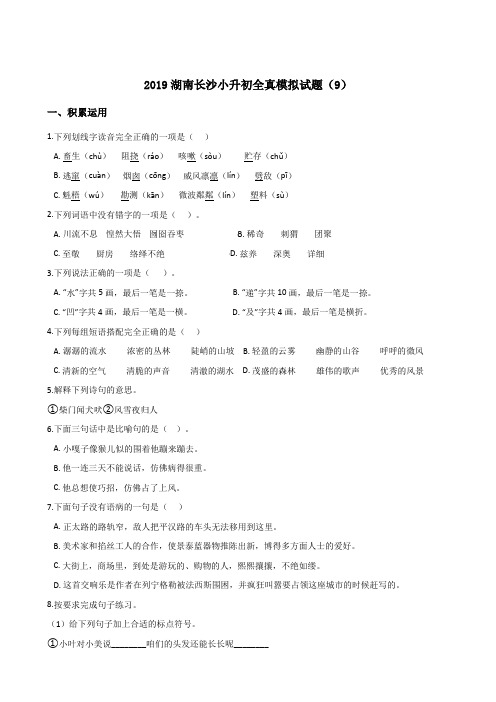 【人教课标版】六年级下册语文试题-2019湖南长沙小升初全真模拟试题(9)含答案