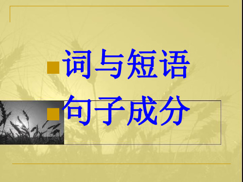短语类型