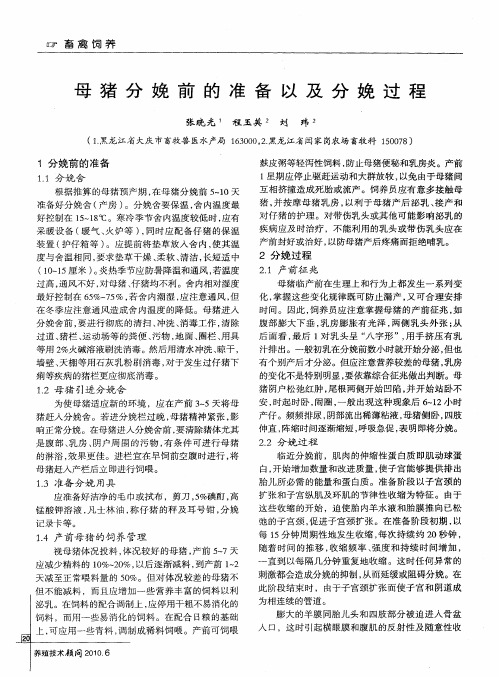 母猪分娩前的准备以及分娩过程