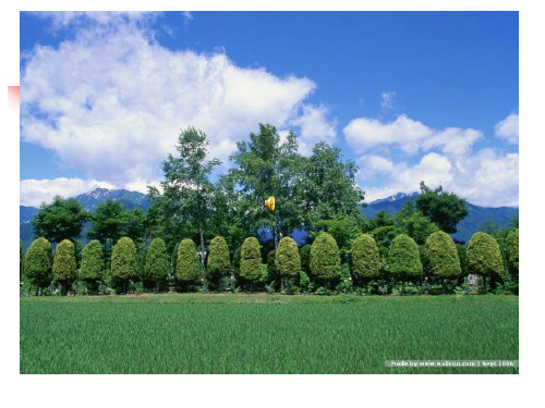 《夏感》教学课件