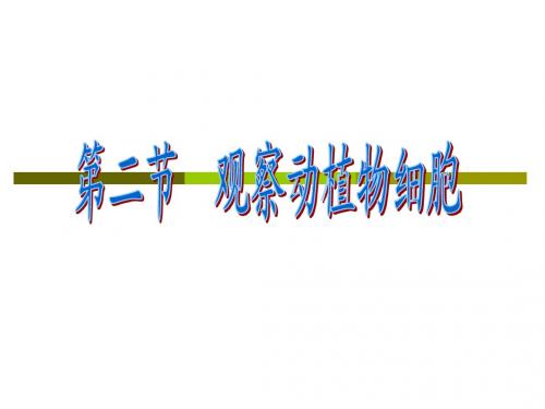 观察动植物细胞.ppt