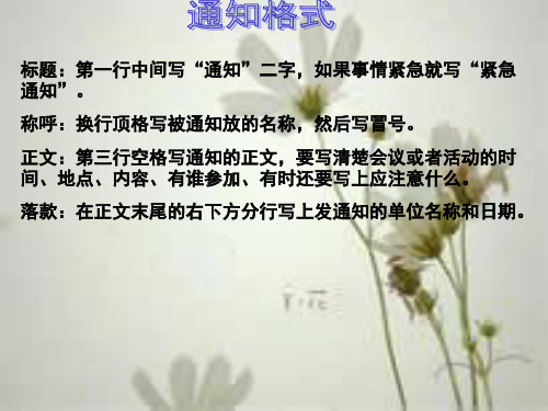 通知,请假条,留言条格式